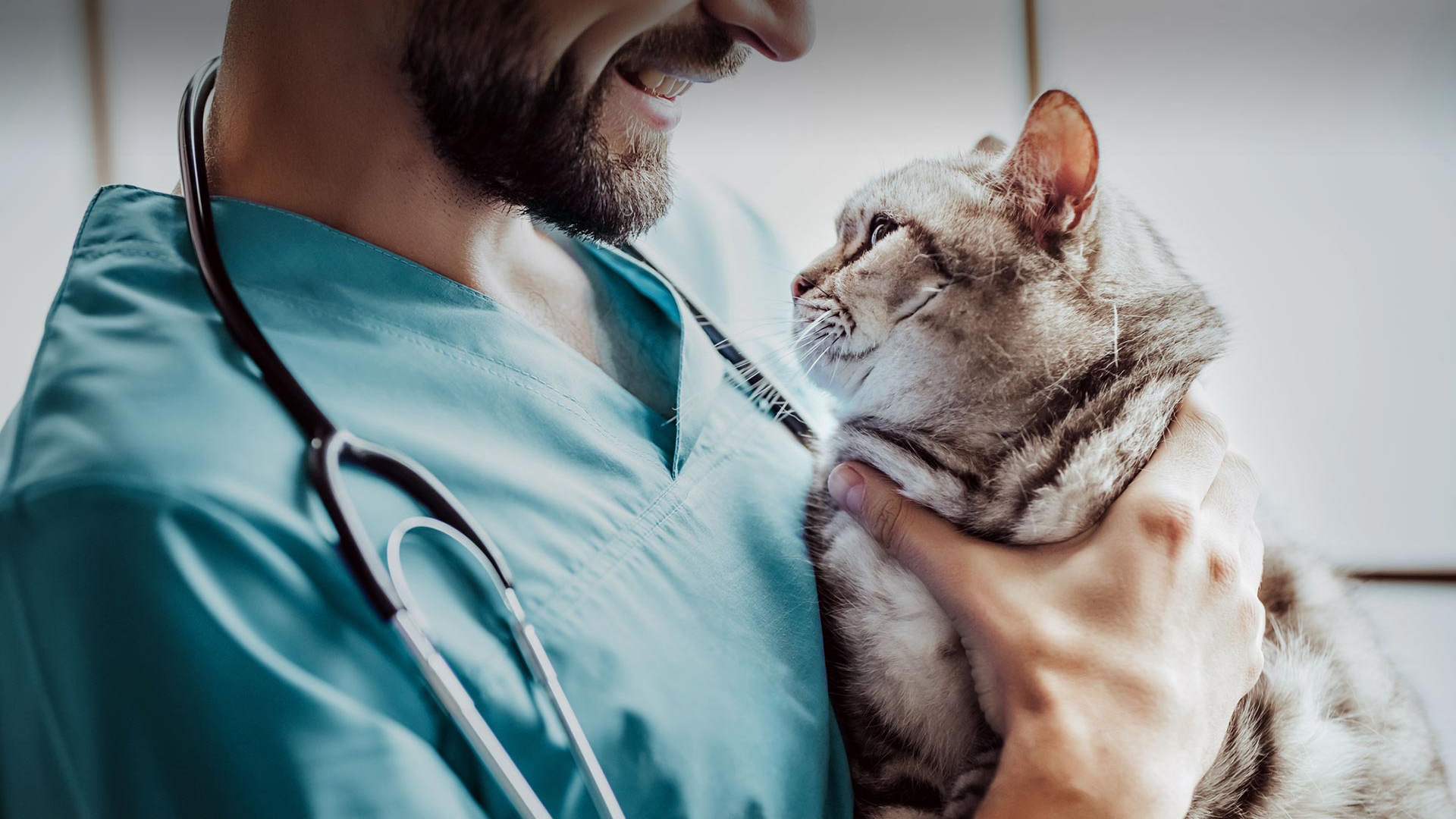 Küçükçekmece Veteriner